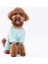 Lama&Dog Küçük Irk Köpek Penye Tulum Pijama 2