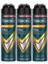 Men Erkek Sprey Deodorant Energise Bergamot & Amber 150 ml X3 2