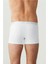 Erkek, Lisanslı, Uspa, Renkli, 3'lü Boxer 3