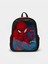 Lcw Accessorıes Karışık Baskılı Spiderman Baskılı Erkek Çocuk Okul Çantası 1