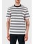Çizgili Pamuk Regular Fit Bisiklet Yaka T Shirt Erkek T Shirt 50520298 405 1