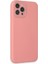 Iphone 12 Pro Kılıf Lansman Glass Kapak - Pembe Mrayd 1