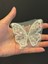 Boncuk Işleme Tül Kelebek Arma Dikiş Aplike 8x6 cm 2