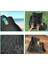 Renault Captur 2013-2014-2015-2016-2017-2018-2019 5