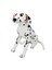 01411 Dalmaçyalı 68 Cm. Peluş 1