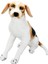 01409 Oturan Beagle Köpek Peluş 68 cm 2
