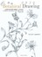 Drawing: A Step-By-Step Guide To Drawing Flowers, Vegetables, Fruit And Other Plant Life 1