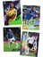 Panini Top Class 2025 Premier League Koleksiyon Futbolcu Kartları ( 4 Paket & 32 Adet Kart ) 3