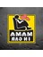 12X12CM Mama Arabada Hamile Araç Sticker Pvc Renkli Çıkartmalar Motosiklet Aksesuarları Sticker (Yurt Dışından) 5