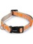 Köpek Boyun Tasması, Açık Gri Turuncu, 35-50cm 1