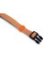 Köpek Boyun Tasması, Açık Gri Turuncu, 26-40cm 2