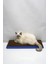 Kedi Tırmalama Kartonu (60X24 Cm) - Mdf Kenar 6