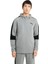 EVOSTRIPE Core FZ Erkek Gri Sweatshirt 58581203 1