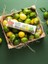 Koku Hapse Limon Büzg Orta 15LI+LAVANTA ORTA15LI 4