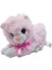 Iri Gözlü Ses Çıkaran Peluş Kedi PL626962 1