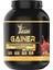 Gainfast 3000 gr Çilek Aromalı 1