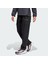Terrex JF3699 Terrex Xploric Cargo Pants 1