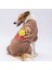 Happy Teddy Bear Orta ve Büyük Irk Köpek Pijaması - Köpek Tulumu - Köpek Kıyafeti (15 Kg-45 Kg) 1