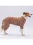 Happy Teddy Bear Orta ve Büyük Irk Köpek Pijaması - Köpek Tulumu - Köpek Kıyafeti (15 Kg-45 Kg) 3