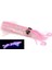 Xipi Evo Yedek Gövde 17cm 53gr #02 Transparant Uv Silikon Kalamar 1