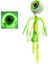 Nautilus 1.0 Tai Rubber Set 100gr #06 Green 1