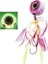 Nautilus 1.0 Tai Rubber Set 150gr #01 Pink 1