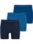 Tender Cotton 3'lü Asorti Boxer 9673 - 627 1