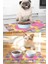 Monnhein Renkli Sevimli Kediler, Kedi Köpek Mama ve Su Altlığı, Mama Paspası, 50X35CM 2