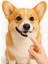 Kedi ve Köpek Için Silikon Parmak Diş Kaşıyıcı Dil Temizleyici Diş Fırçası 2
