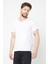Erkek Çok Renkli T- Shirt Regular Fit Rahat Kesim V Yaka 5'li Basic Tişört Paketi 3