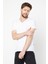 Erkek Çok Renkli T- Shirt Regular Fit Rahat Kesim V Yaka 5'li Basic Tişört Paketi 5