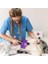 ® Otomatik Temizlenebilen Tuşlu Pratik Kedi Köpek Tüy Toplama Fırçası 3