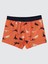 Erkek Çocuk 2'li Boxer Set 2-10 Yaş Turuncu 4