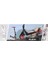 Evo Flexi 2 Tekerlekli Scooter Kırmızı 3