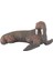JQ-008B Deniz Hayvanları -Gepettoys 3