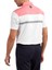 Stretch Pique Renk Bloklu Polo Yaka Wht/cha Golf T-Shirt 90372 2