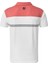 Stretch Pique Renk Bloklu Polo Yaka Wht/cha Golf T-Shirt 90372 4