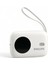 Kablolu POWERBANK,10000 Mah,dahili Type-C ve Lightning Kablo,dijital EKRAN,3.6V,AKIM KORUMA,DLP8722 1