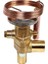 Tcle 750 Nw 100WL 1/2''*5/8'' PCN809240 Expansion Valf ( 32 Ton ) 1