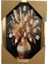 Duvar Tablo 22 x 32 cm Vazoda Çiçekler Kahverengi Beyaz 3 Boyutlu M4440-1 1