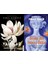 Gizli Yaralar Esra Ezmeci + Beyaz Atlı Prensi Öldür 2 Kitap Set 1