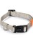 Köpek Boyun Tasması, Açık Gri, 26-40cm 3