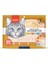 Karışık 4 Lezzetli Krema Kedi Ödülü 50 x 14 Gram 1