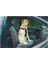 Köpek Araç Içi Göğüs Tasması, Siyah, 75-100CM Göğüs Çapı, 25MM 3