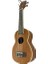 Soprano Boy Maun Ağacı Ukulele 2