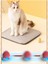 Luxury Otomatik Hareketli Kedi Oyuncağı 1 Adet 2