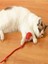Luxury Otomatik Hareketli Kedi Oyuncağı 1 Adet 4