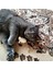 Luxury Catnipli Kedi Oyuncağı 3'lü Paket - Kedileri Çılgına Çeviren Oyuncak Fare - Oyuncak Fare 1 Adet 4