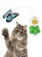 Luxury Pilli Kedi Oyuncağı, Hareket Eden Kelebek Kedi Oyuncağı, Kedi Aktivite Oyuncağı, Kedi Oyuncağı 1 Adet 2