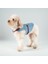 Luxury Kaçış Önleyici Kot Köpek Gezdirme Tasması Airtag Cepli 1 Adet 1